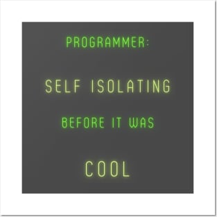 Programmer: Self-Isolating before it was cool Posters and Art